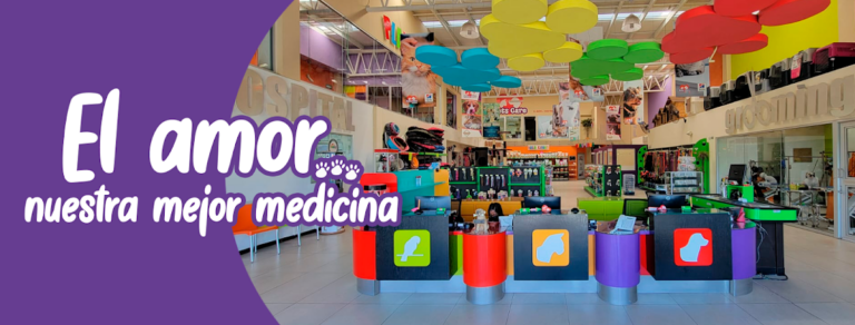 19836 pets care veterinario 24 horas en saltillo traumatologo veterinario en saltillo 768x292