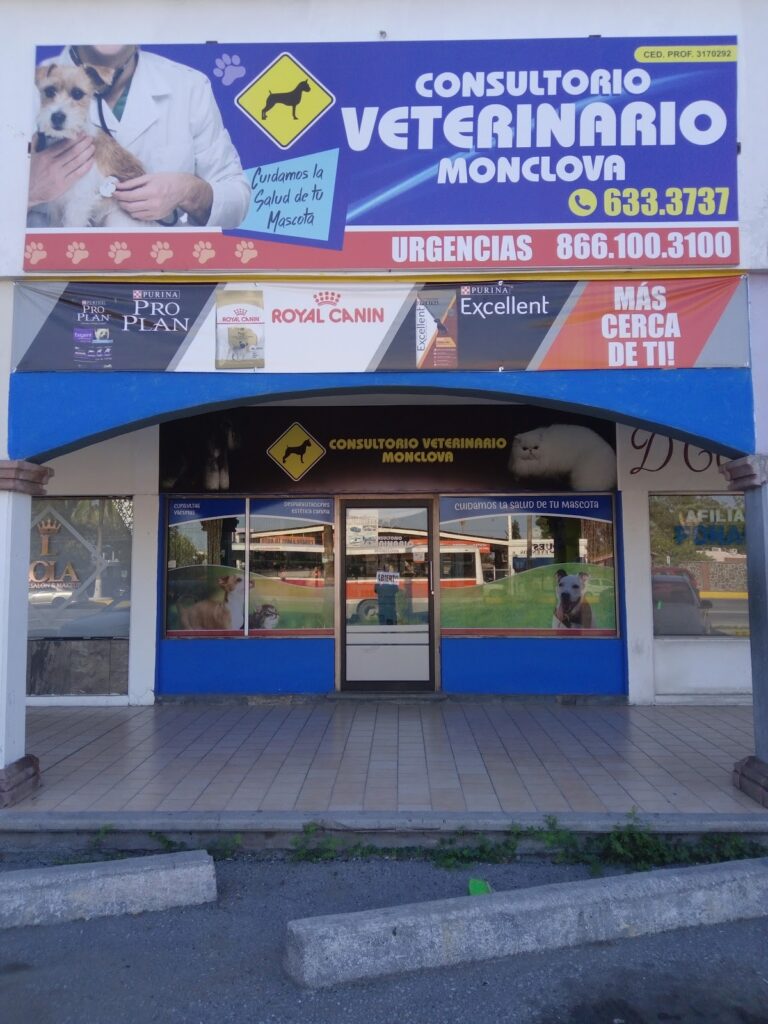 19838 veterinaria galerias olloqui consultorio veterinario monclova 768x1024