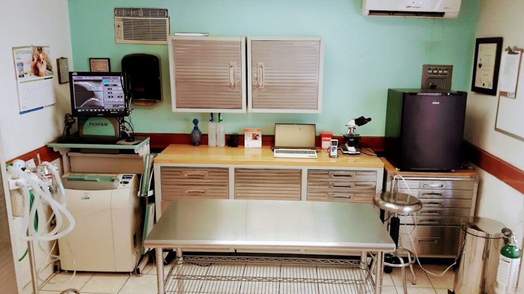 19840 petsmed veterinaria 1024x576