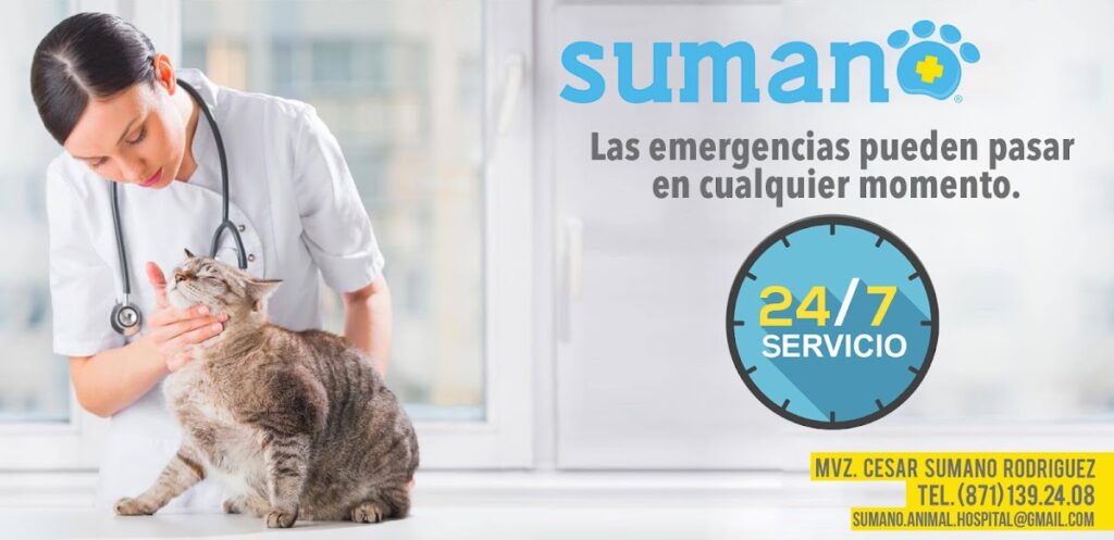 19844 sumano animal hospital 8211 oftalmologo veterinario en torreon 8211 veterinario 24 horas en torrreon 1024x497