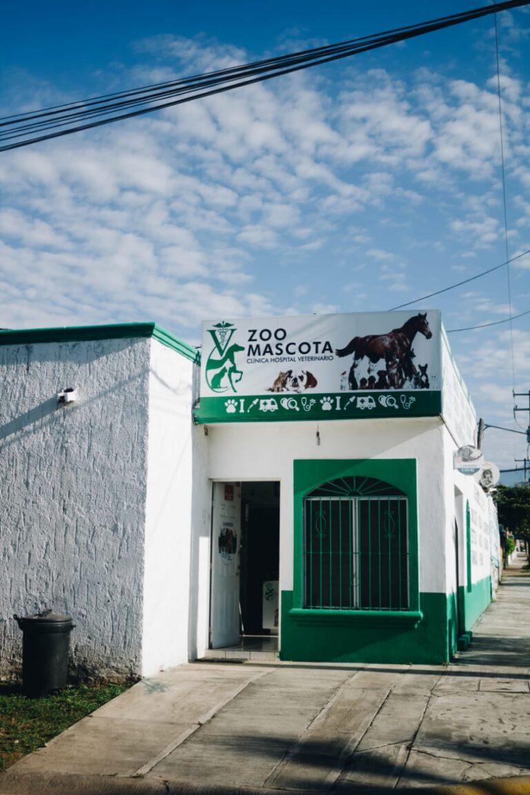 19869 zoo mascota colima 768x1152