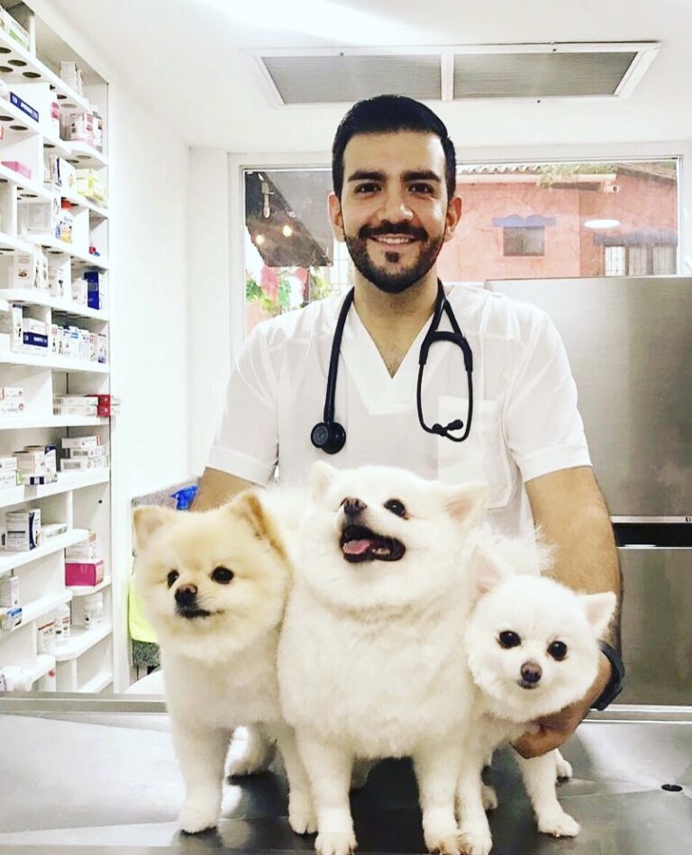 19932 pet friends veterinary hospital 768x949