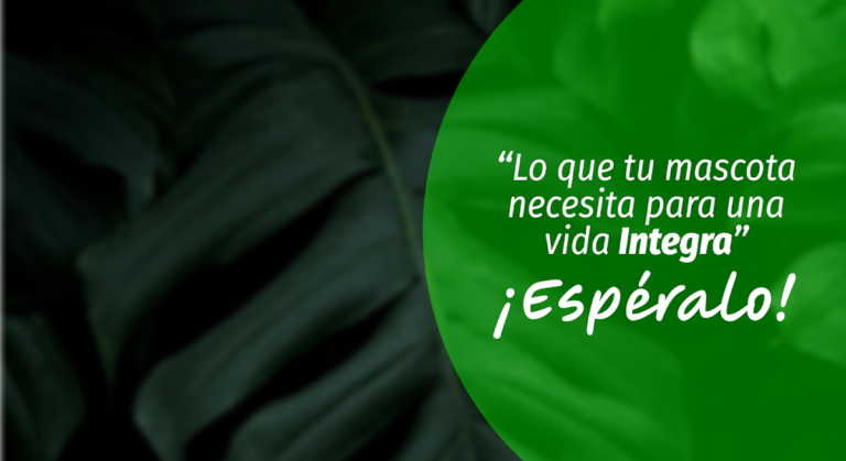 19935 grupo veterinario vetcare 768x419