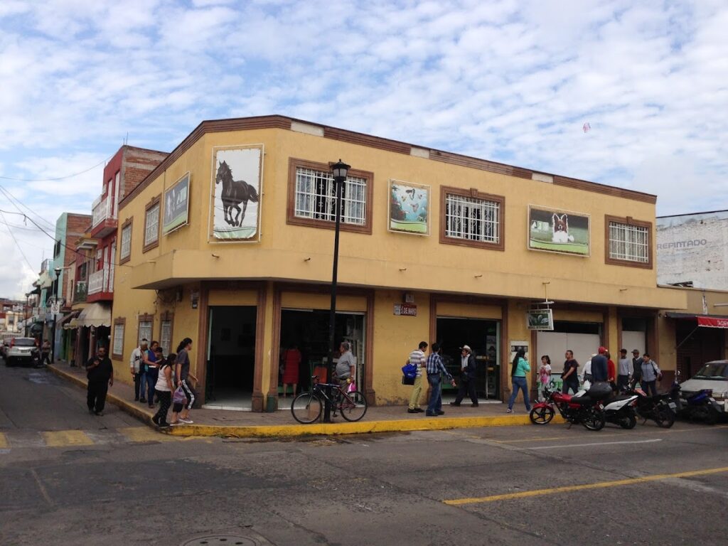 19950 veterinaria nava castillo 1024x768