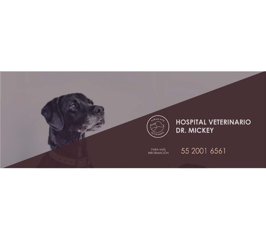 19962 hospital veterinario base delfin ii 1024x923