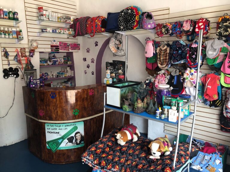 19981 animal center 768x576