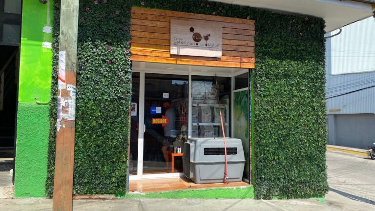 19990 centro veterinario del valle puerto 768x432