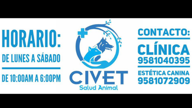 20001 civet huatulco salud animal 768x432