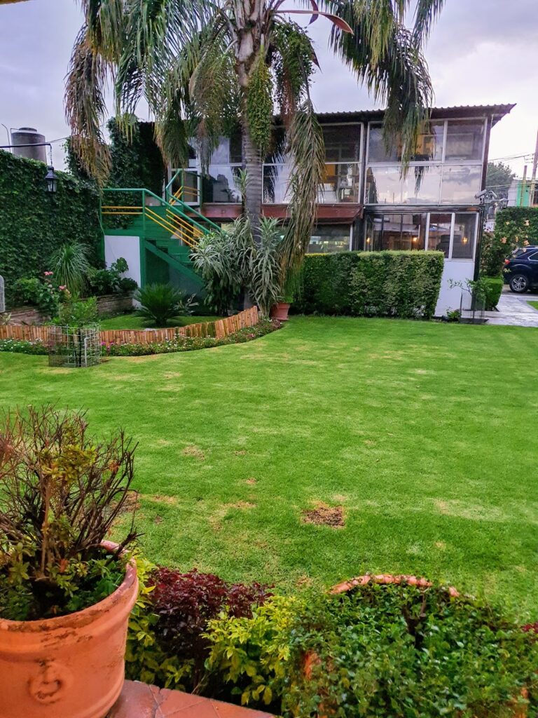 20009 hospital veterinario de cholula 768x1024