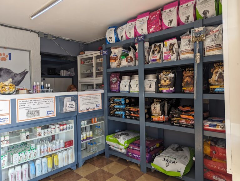 20018 sonrisa animal 768x579