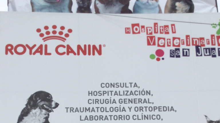 20025 hospital veterinario san juan 768x432