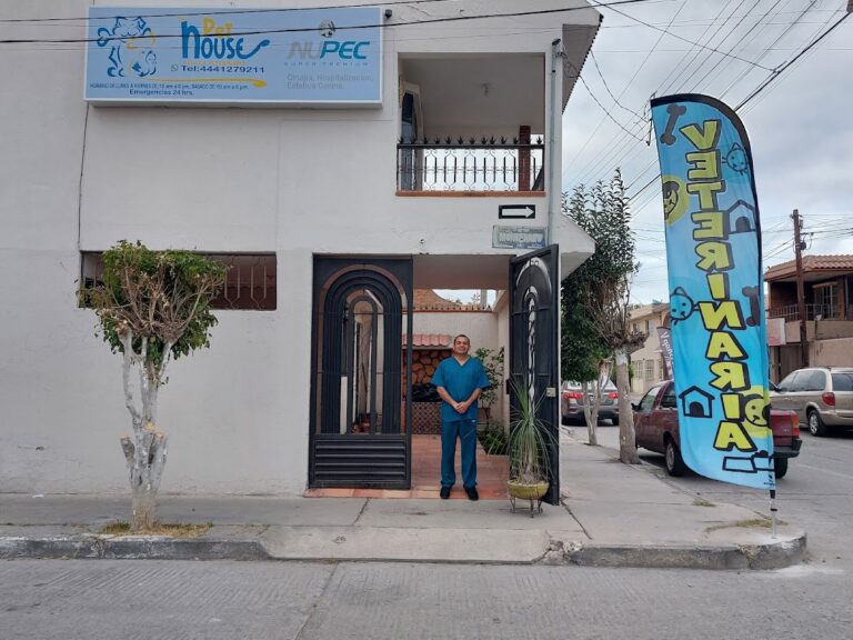 20058 pet house vet 768x576