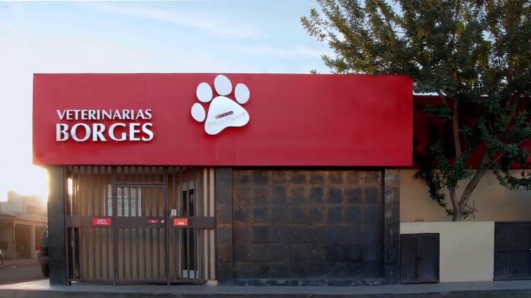 20060 hospital de urgencias veterinarias borges 768x432