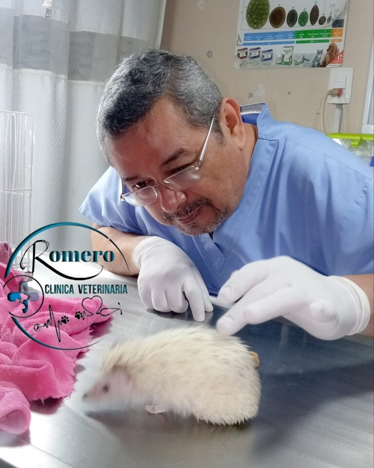 20128 clinica veterinaria romero 768x960