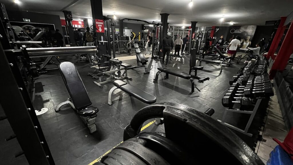 20490 pansport gym 1024x576