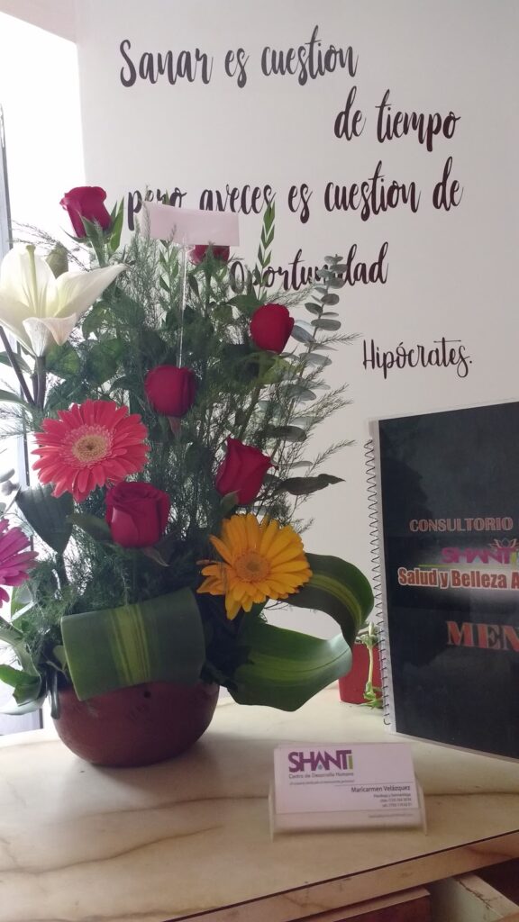 20733 shanti spa grupo clinico integral 576x1024