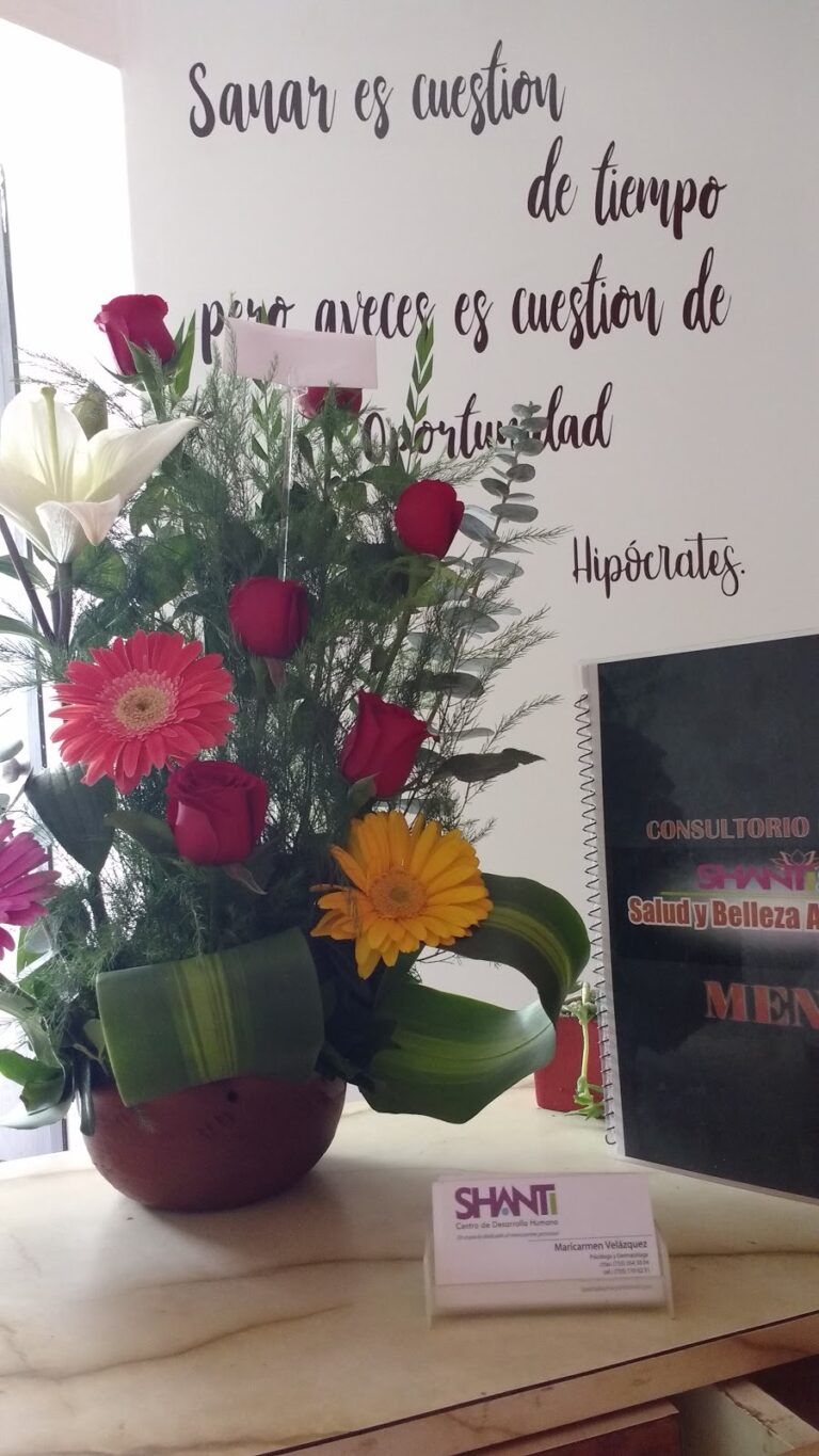 20733 shanti spa grupo clinico integral 768x1365