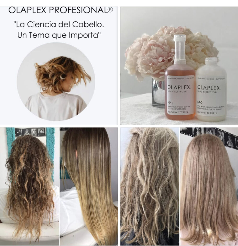 20968 elite beauty zone by marissa rivera 993x1024