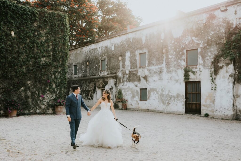 22267 escena films 8211 fotografia y video cuernavaca 1024x683