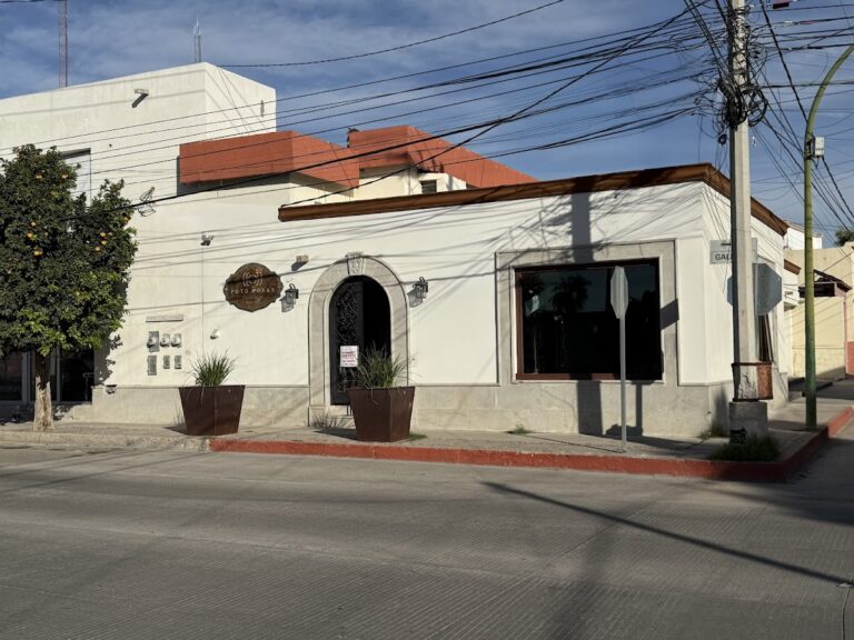 22385 foto rosas 768x576