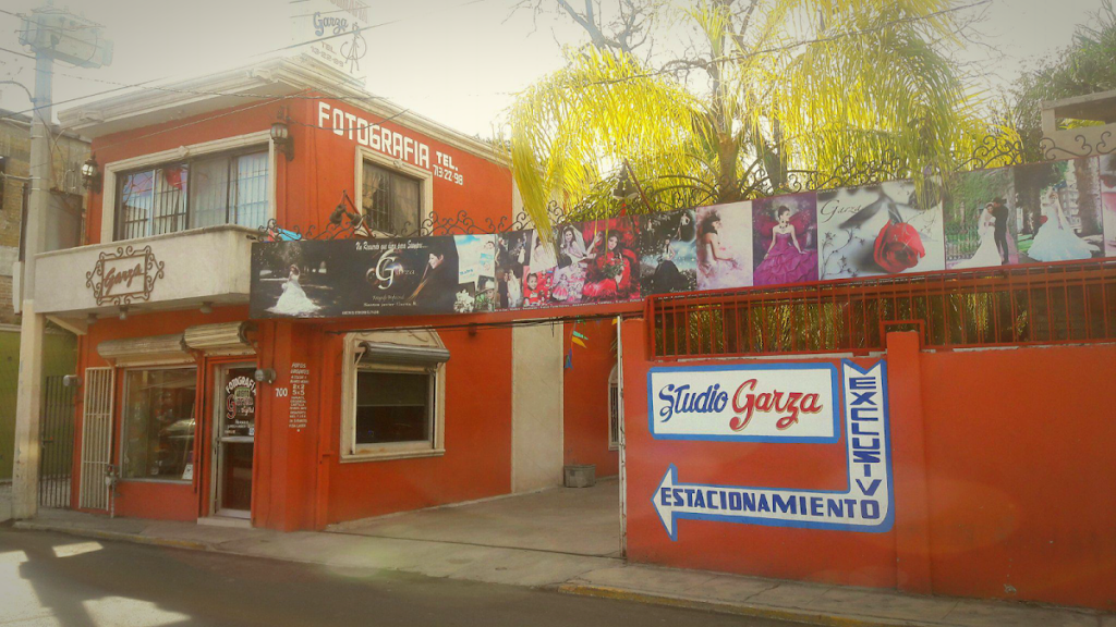 22437 fotografia garza 1024x576