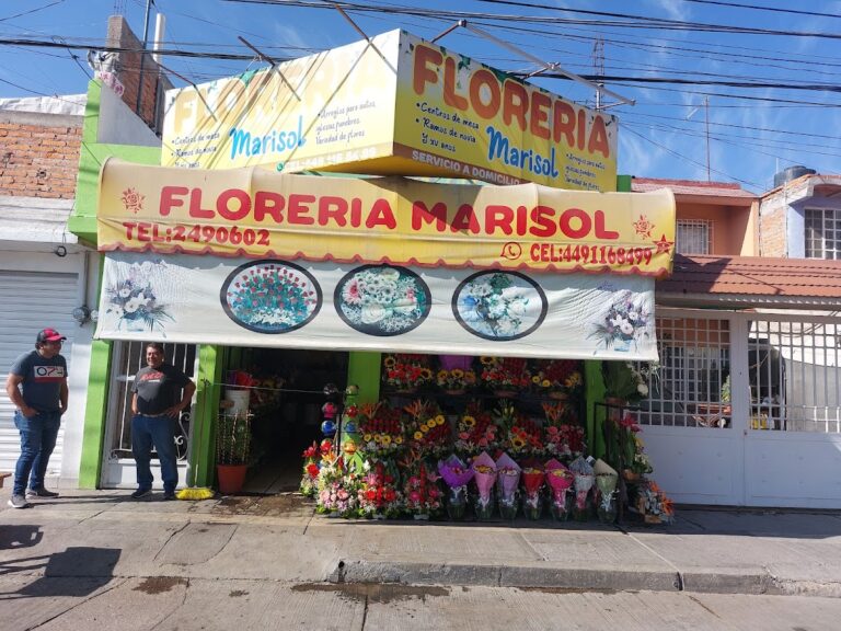 22862 floreria marisol 768x576