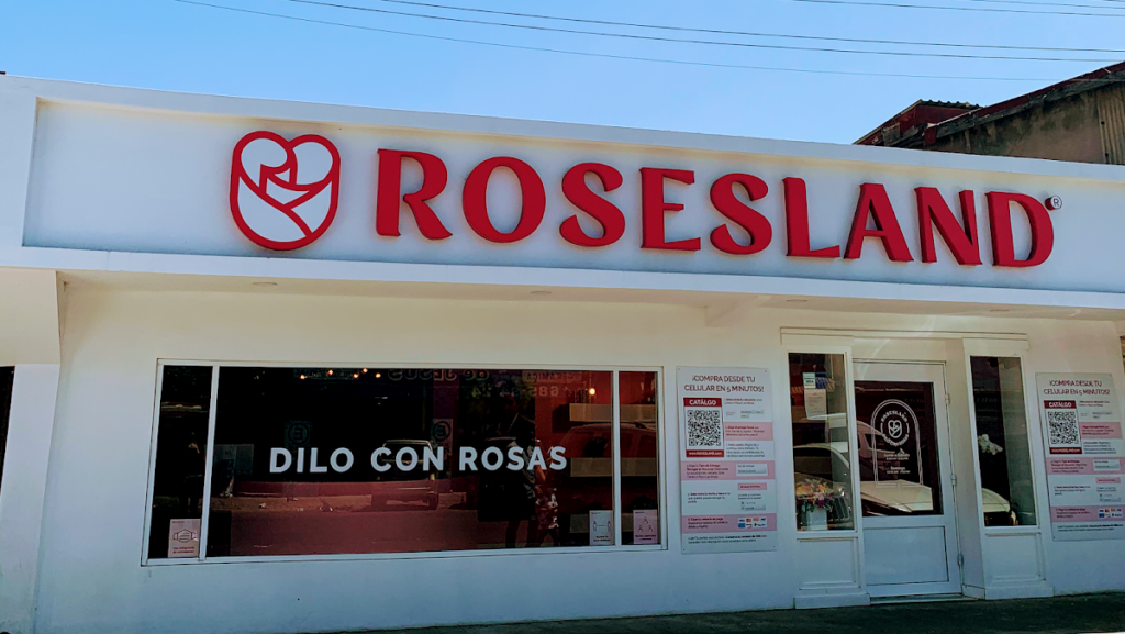 22884 floreria tijuana rosesland zona centro 1024x577