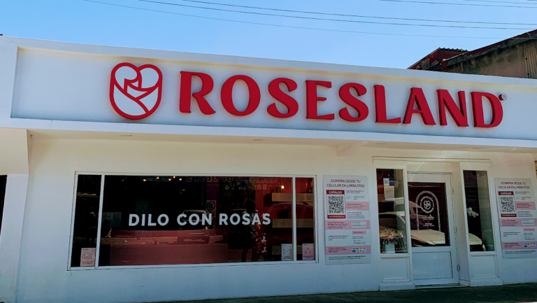 22884 floreria tijuana rosesland zona centro 768x433