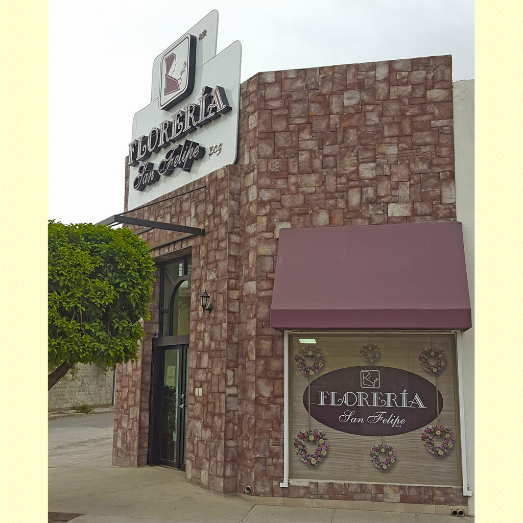 22948 floreria san felipe 1024x1024