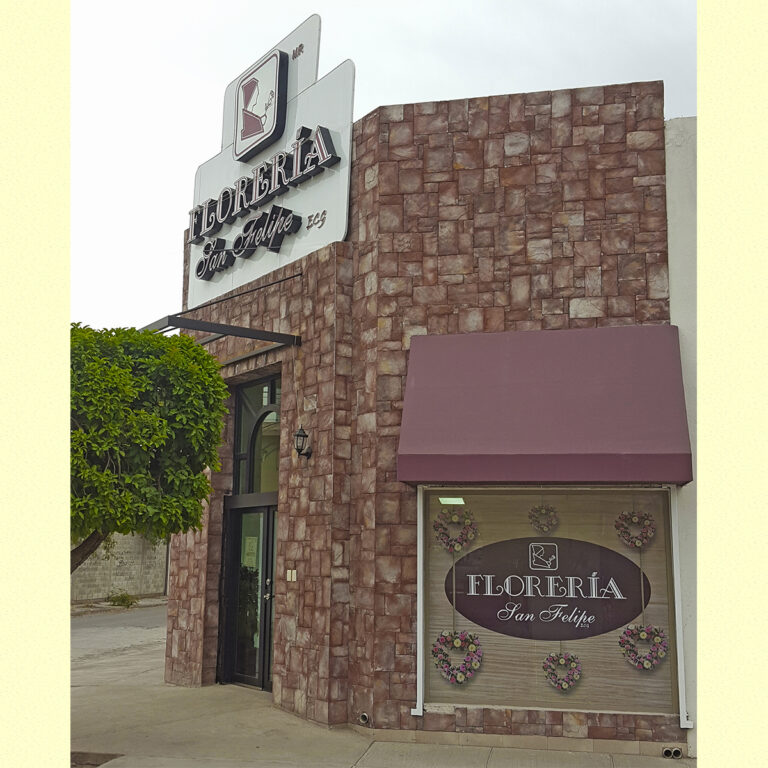 22948 floreria san felipe 768x768