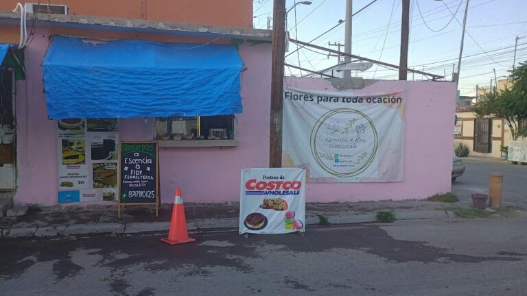 22973 escencia a flor 768x432