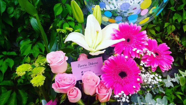 22994 floreria celaya gto.ikebana floreria 100 en linea no contamos con servicio de puertas abiertas al publico 768x432