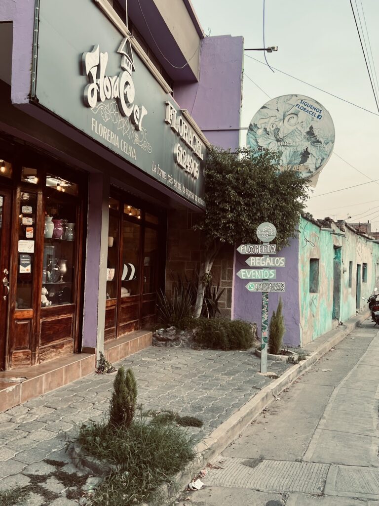 23002 floreriafloracel 768x1024