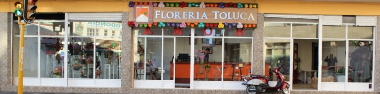 23043 floreria toluca 768x191