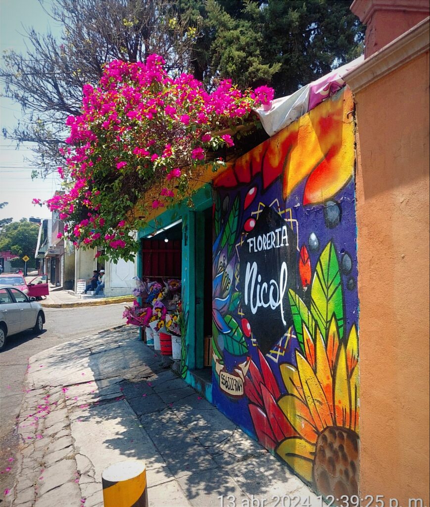 23053 floreria nicol 869x1024