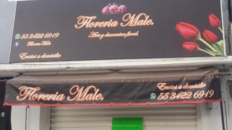 23067 floreria male tlalnepantla 768x431