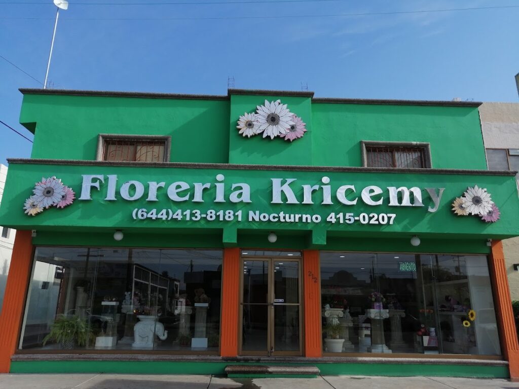 23196 floreria kricemy 1024x768