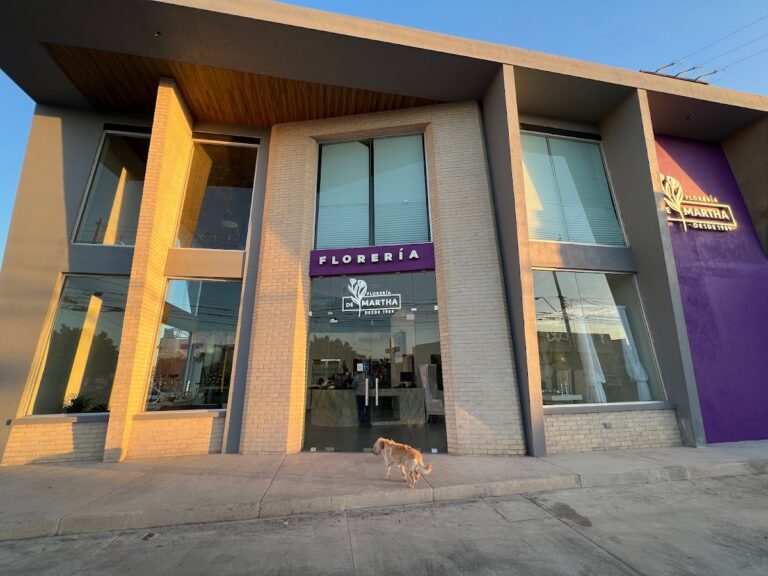 23227 floreria y regalos martha s.a. de c.v 768x576