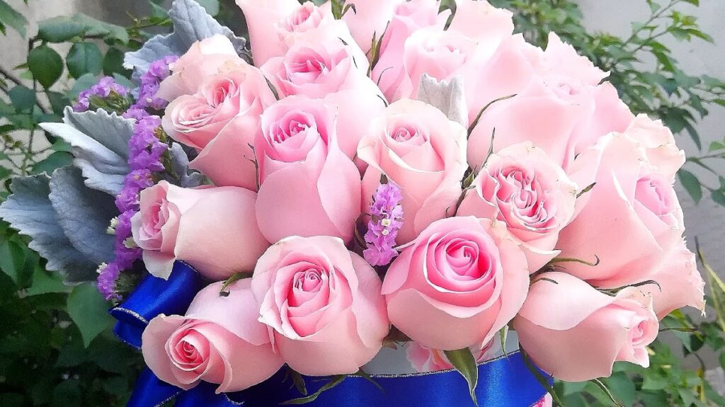 23253 floreria riviera veracruz 1024x575