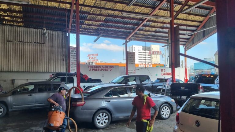 24033 lavado canon johnson 768x432