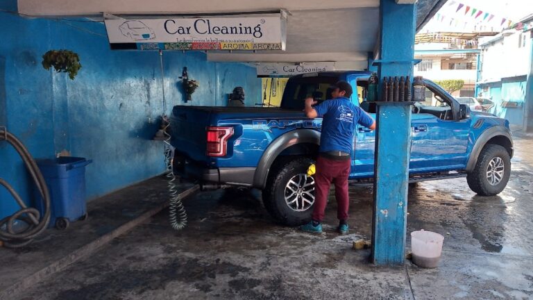 24195 car cleaning 768x432