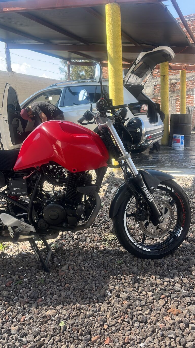 24217 car wash 85 768x1365