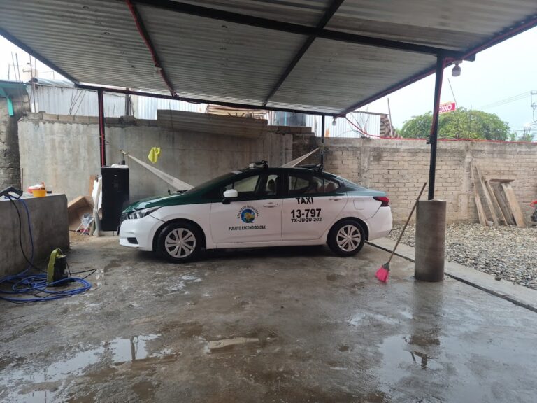 24231 autolavado pxm 768x576