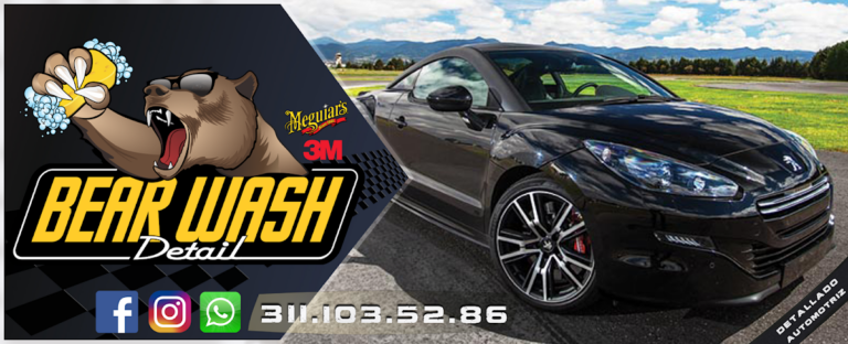 24257 bear wash detail 768x312