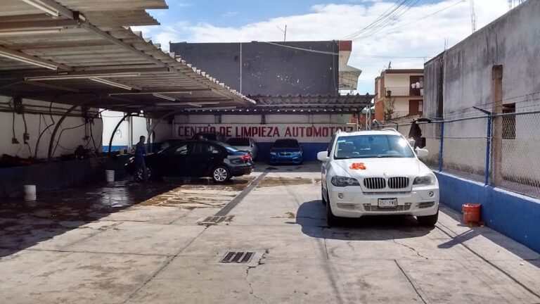 24268 auto lavado lobo 768x432