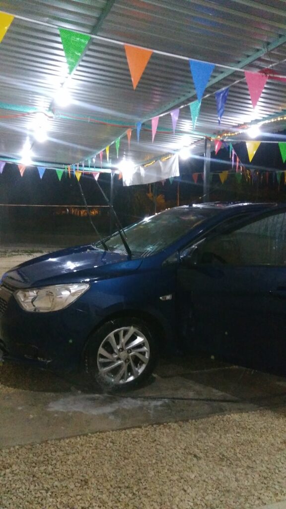 24359 detallado automotriz rooster 576x1024