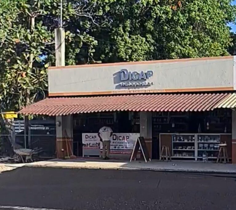 24642 dicap autopartes no llamadas solo mensajes de whatsapp 768x685