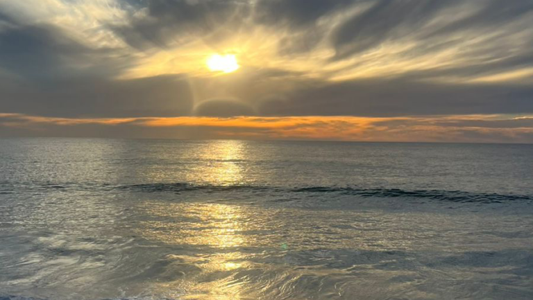 24748 ronival real estate 768x433