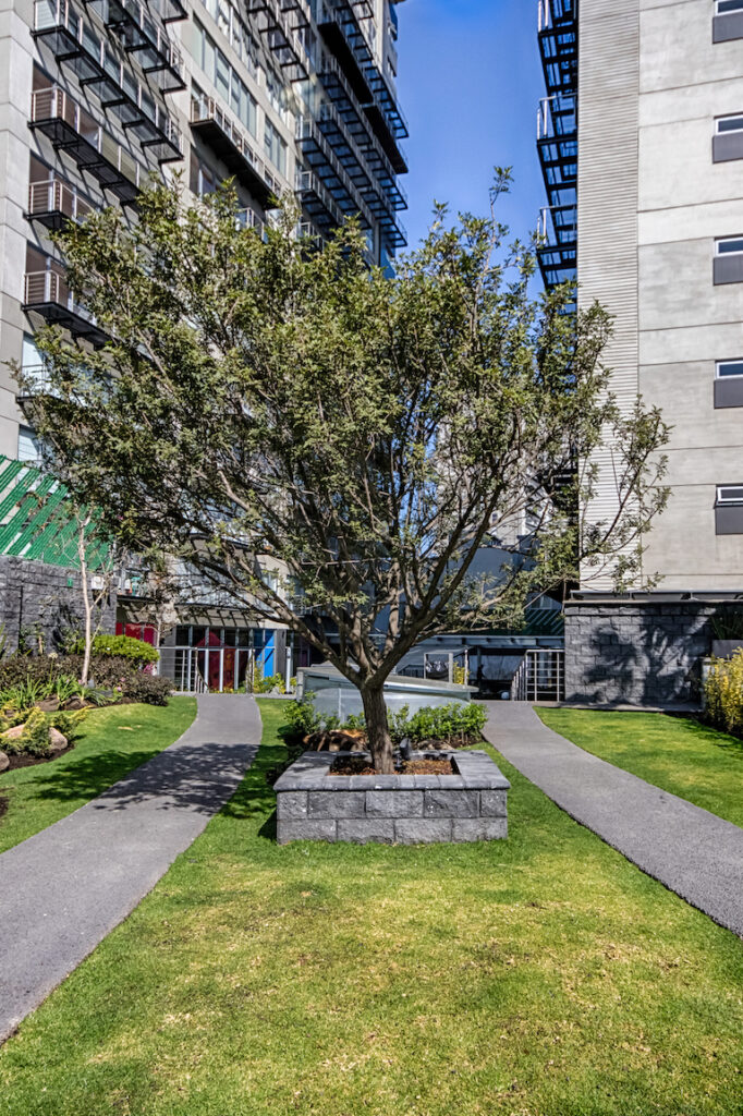 24979 df bienes raices inmobiliaria en ciudad de mexico y tlalnepantla 682x1024