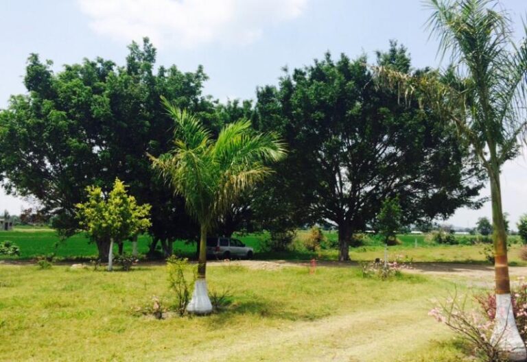 24984 hacienda real inmobiliaria cuautla centro 768x528